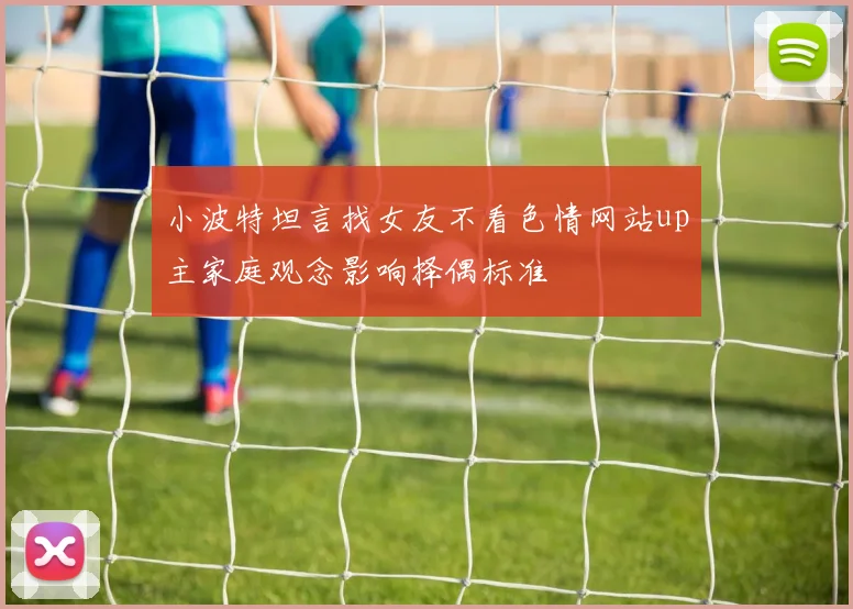 小波特坦言找女友不看色情网站up主家庭观念影响择偶标准